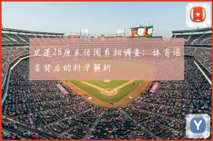 皮蓬28厘米传闻真相调查：体育谣言背后的科学解析